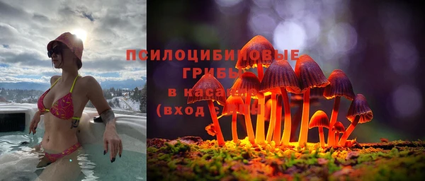 стафф Краснотурьинск