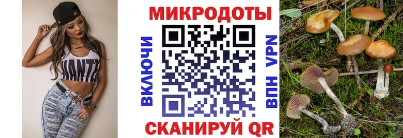 Псилоцибиновые грибы GOLDEN TEACHER  Снежинск 